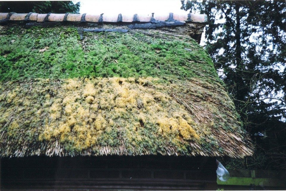 ronald-van-eijk-groene-aanslag-dakkapel