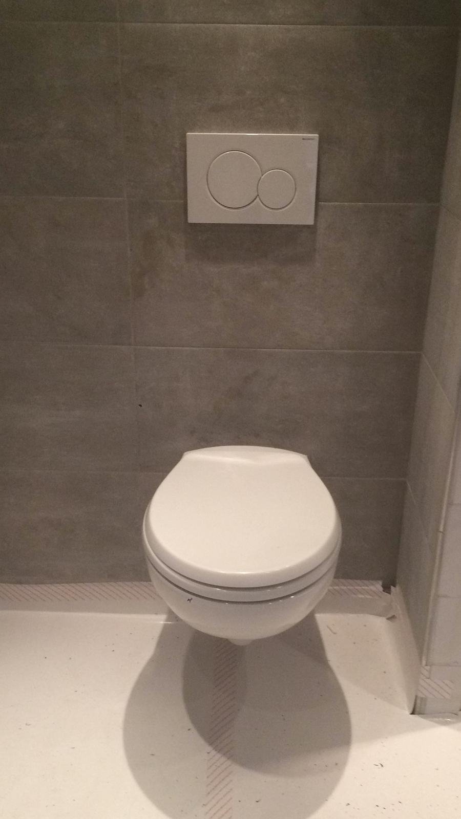 ronald-van-eijk-toiletrenovatie